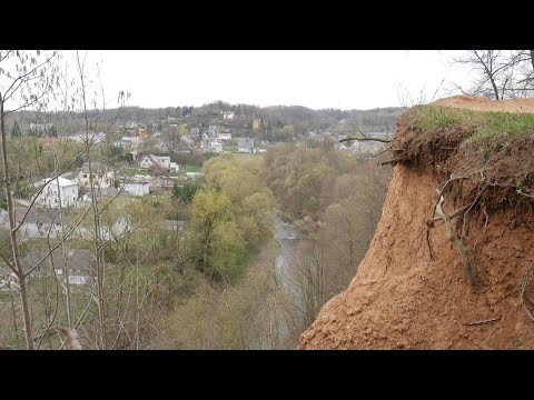 Video: Kačių Draustinis Samdo Prižiūrėtoją, Kuris Prižiūri 55 Kates Graikijos Saloje