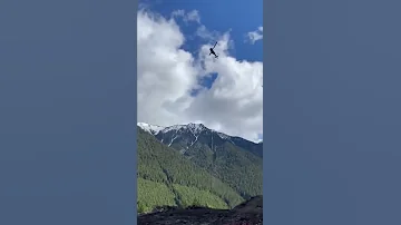 HeliLogging BC Canada 