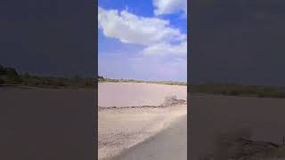 Rajkumar hit dialogue #travel #hit #dialogue #dialogue_whatsapp_status #rajkumar #whatsappstatus Rajkumar hit dialogue #travel #hit #dialogue #dialogue_whatsapp_status #rajkumar #whatsappstatus