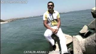 CATALIN ARABU - HAI VINO VINO