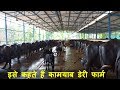 Bajrang Dairy Farm District Tapi Gujarat | Success story of a New Dairy Farm