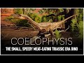 Coelophysis The Legendary Dinosaur Of The Triassic Dinosaur Documentary 