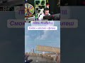 ЛУЧШИЕ СТРИМЫ https://www.twitch.tv/inkmate0 #inkmate0 #cs2 #twitch #zibert1715 #инкмейт