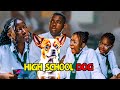 High School Dog -  Africa