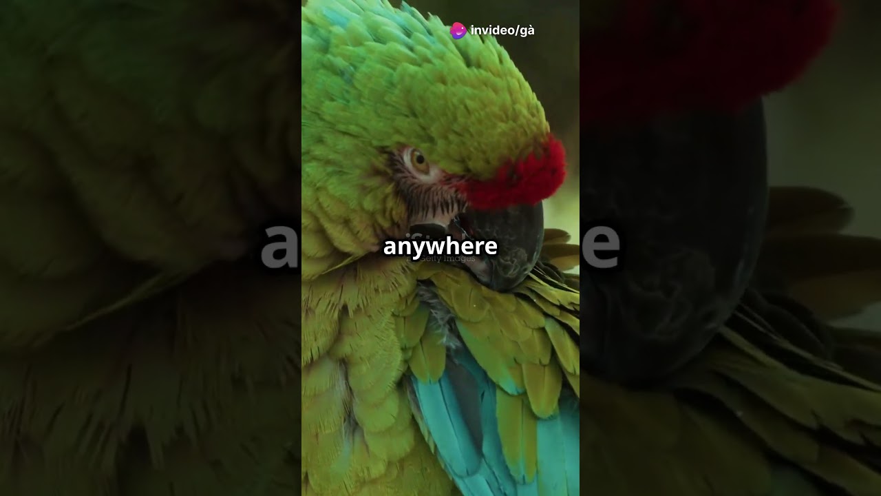 Top 5 Countries with the Most Diverse Ec 2024 