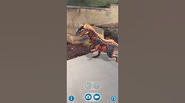 Refrenantem Feed/Interact/Play