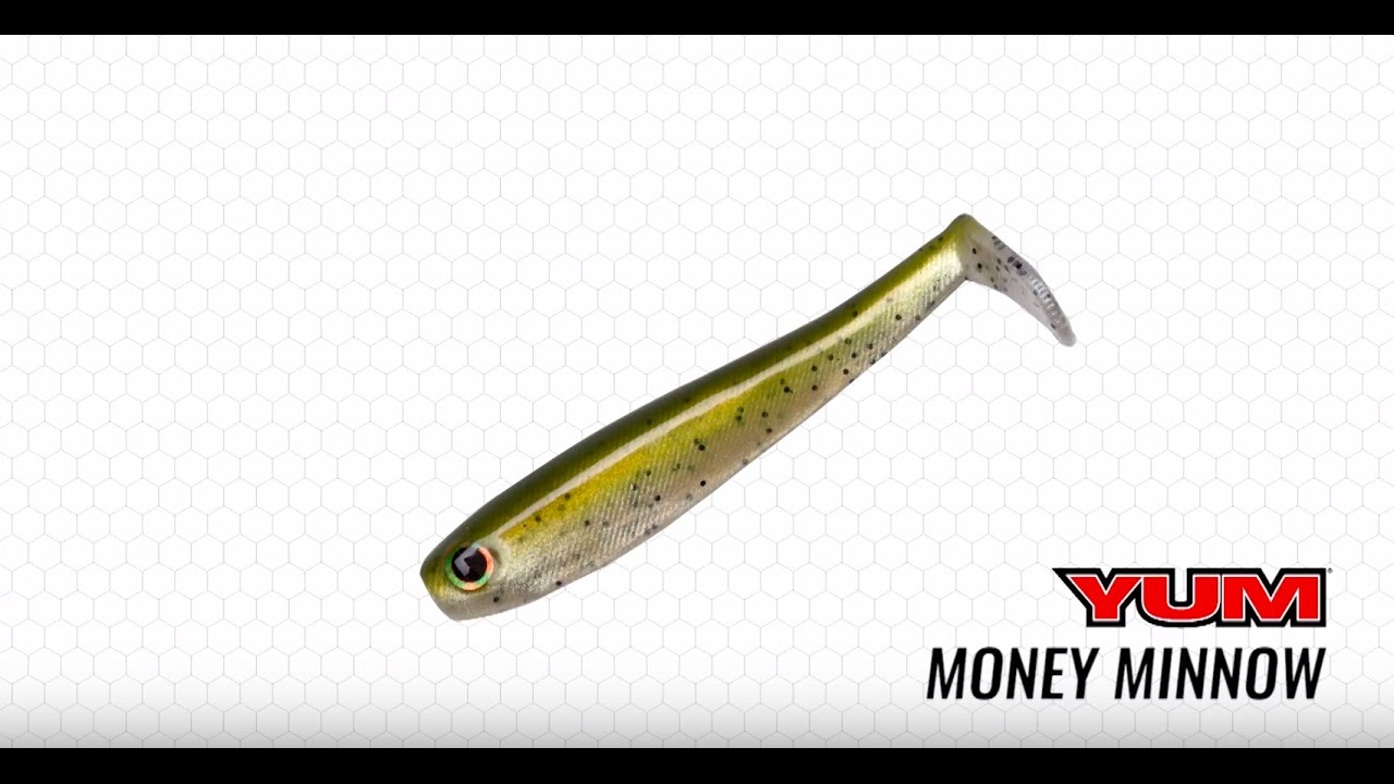 minnow swimbait