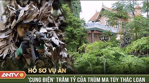Hồ sơ vụ án: Trùm ma túy chơi ngông, xây “vạn lý trường thành” thách đố công an truy bắt | ANTV