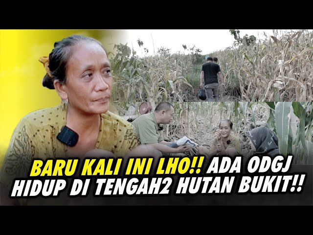 DEMI DIA YANG CANTIK ❗️😱❗️KITA HARUS MENEROBOS HUTAN DAN MENDAKI GUNUNG sampai NGOS-NGOSAN class=