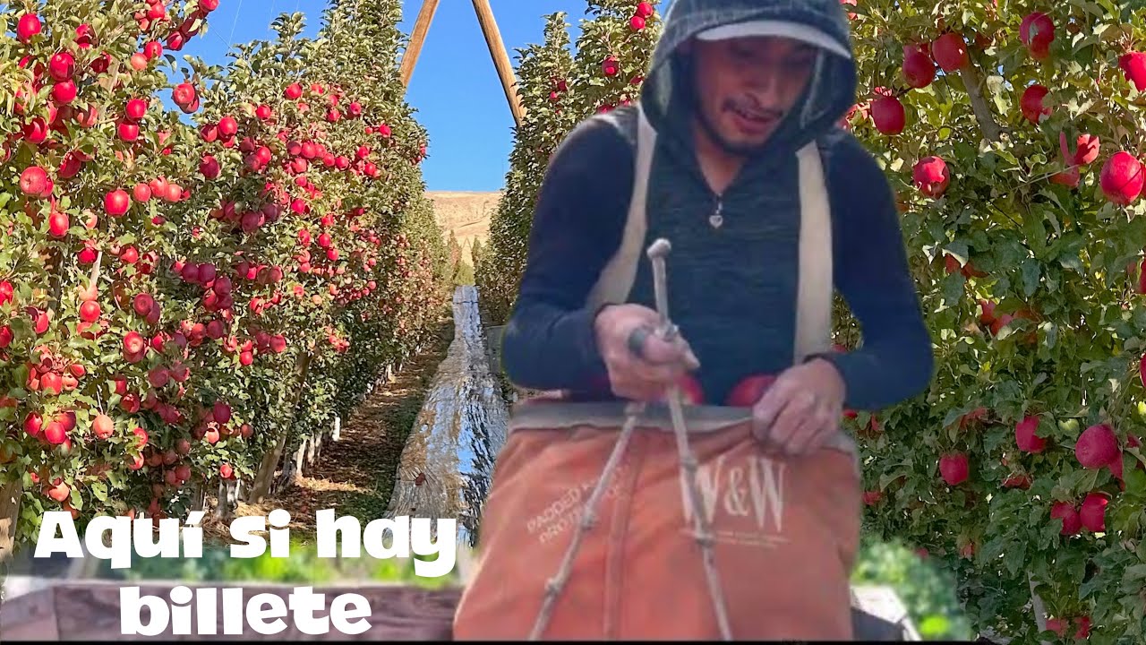 llegué desde Florida y no vuelvo para allá porque aqui se gana mas Dice este amigo🙉🍎