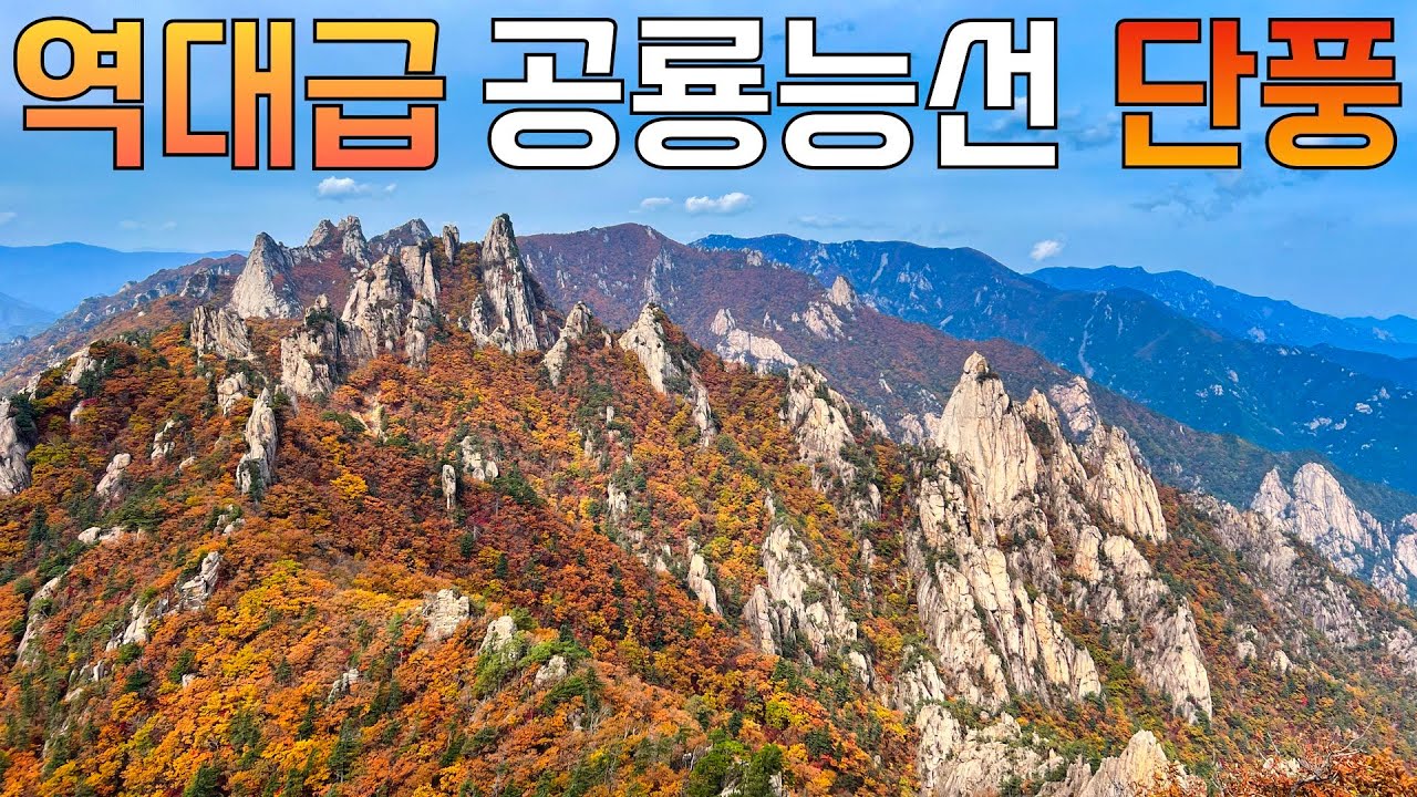 설악산⛰️ 공룡능선 단풍🍁 절정 | 오색-공룡능선-소공원 20km 대중교통 차량 회수