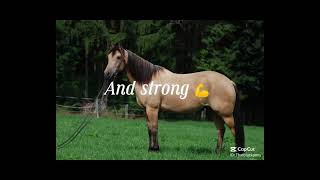 Stop Overbreeding