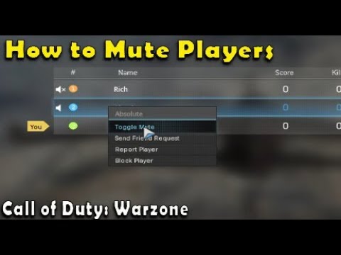 25 How To Mute Teammates In Warzone Ps4? Ultimate Guide