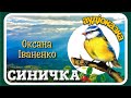 СИНИЧКА 🐦 (Оксана Іваненко) АУДІОКАЗКА українською мовою