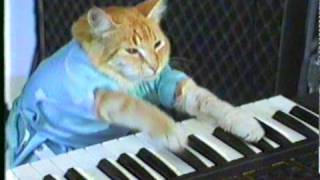 'Play Him Off, Keyboard Cat' by Charlie Schmidt