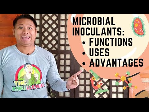 Video: Ano ang ginagamit ng microbiology?