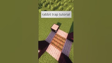 Minecraft rabbit trap tutorial #shorts