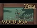 Zelda Breath of the Wild - All Molduga Locations (How to Get Medal of Honor)