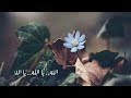 أيقنت ان الله يجبر خاطري بصوت الطفل محمد عطية مواهب رائعة