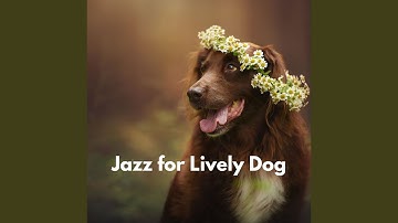 Stellar Moods for Forgetting Mirrors