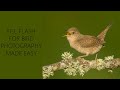 Fill Flash for Bird Photography - Fill Flash Made Easy