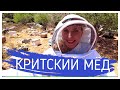 🇬🇷Крит-Гид. Критский МЁД - мечта Винни-Пуха! Алёна Фортунаки/Sweet Crete