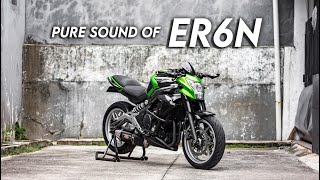 Pure Sound of ER6N