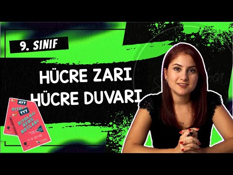 11) HÜCRE ZARI - HÜCRE DUVARI | 9. SINIF | TYT BİYOLOJİ DERS NOTLARI | 2024