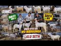 DHAMAKA OFFER🔥 Saal Ka Naya Taufa Dunga🤯 Chanas Looto Aur Shouk Karo || Lalu Seth Bhiwandi Mumbai ||