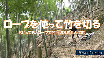 竹林整備 ロープを使って竹を切る Mp3