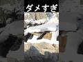 橋です
