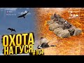 №104 Гусиный бублик или одиночки... Охота на гуся. Дрон - квадрокоптер и shotcam.