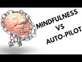 How To Be In The Moment With Meditation: Mindfulness vs Autopilot