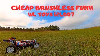 Brushless Power For Just Over 100 Dollars! Should You Buy One?