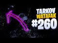 Tarkov Watafak #260 | Escape from Tarkov