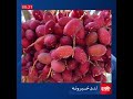 لنډ خبرونه، د زمري ۱۳مه    #طلوع‌نیوز