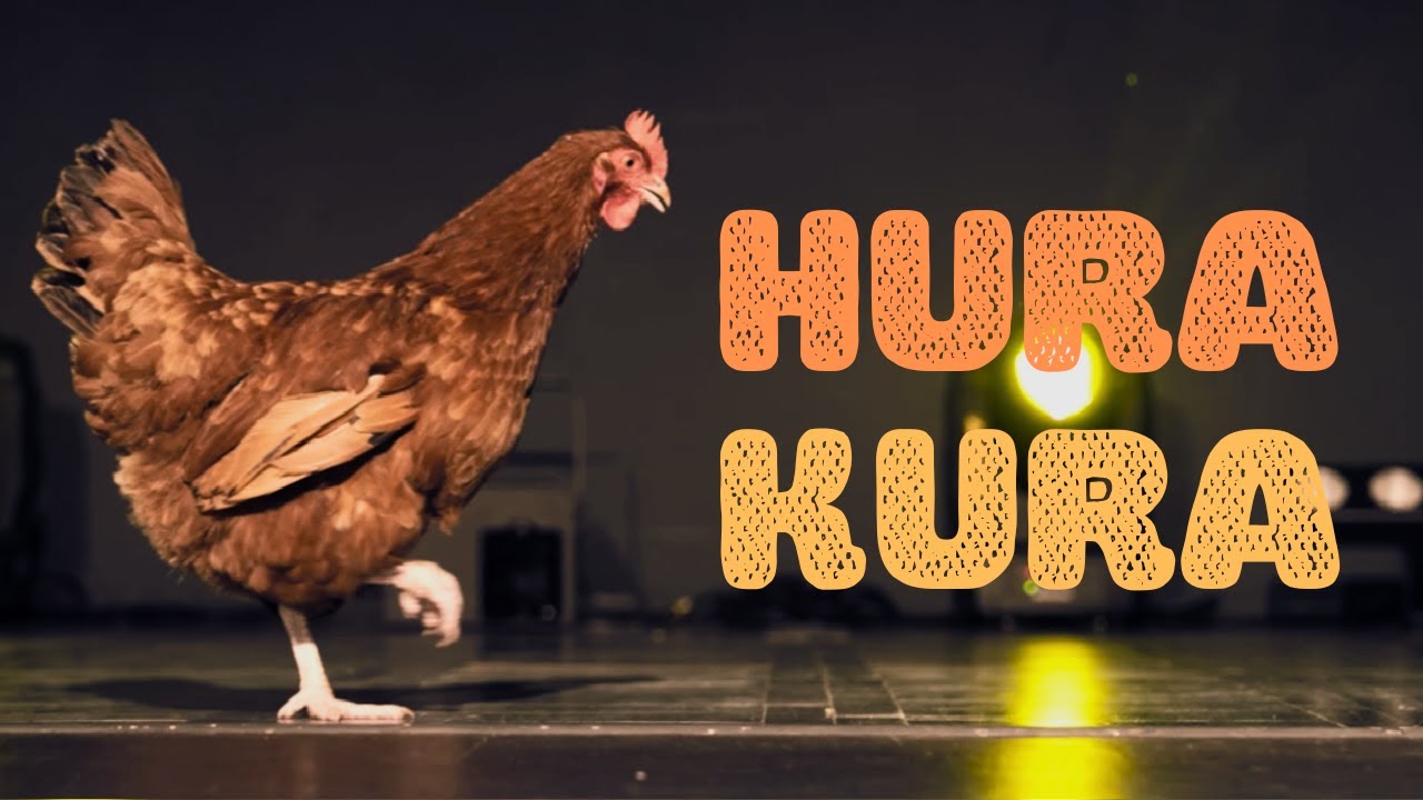Hura Kura - FIONKA DZIECIOM