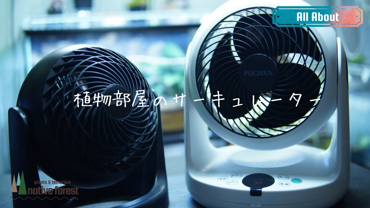 熱帯植物】植物には風が必要！我が家のサーキュレーターを紹介！ - YouTube