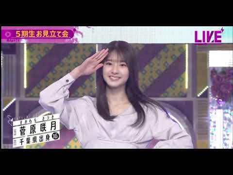 5期生の菅原咲月さんについて簡単に紹介！