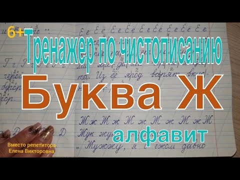Тренажер по чистописанию. Буква Ж. Алфавит.