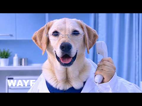 WAYF BOYS - ‘A4M’ Official MV Teaser#2