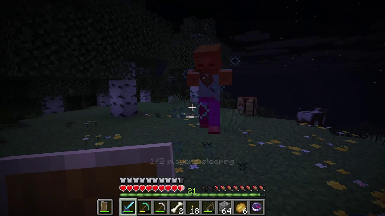 Minecraft and Chill ... Come Hang Out!