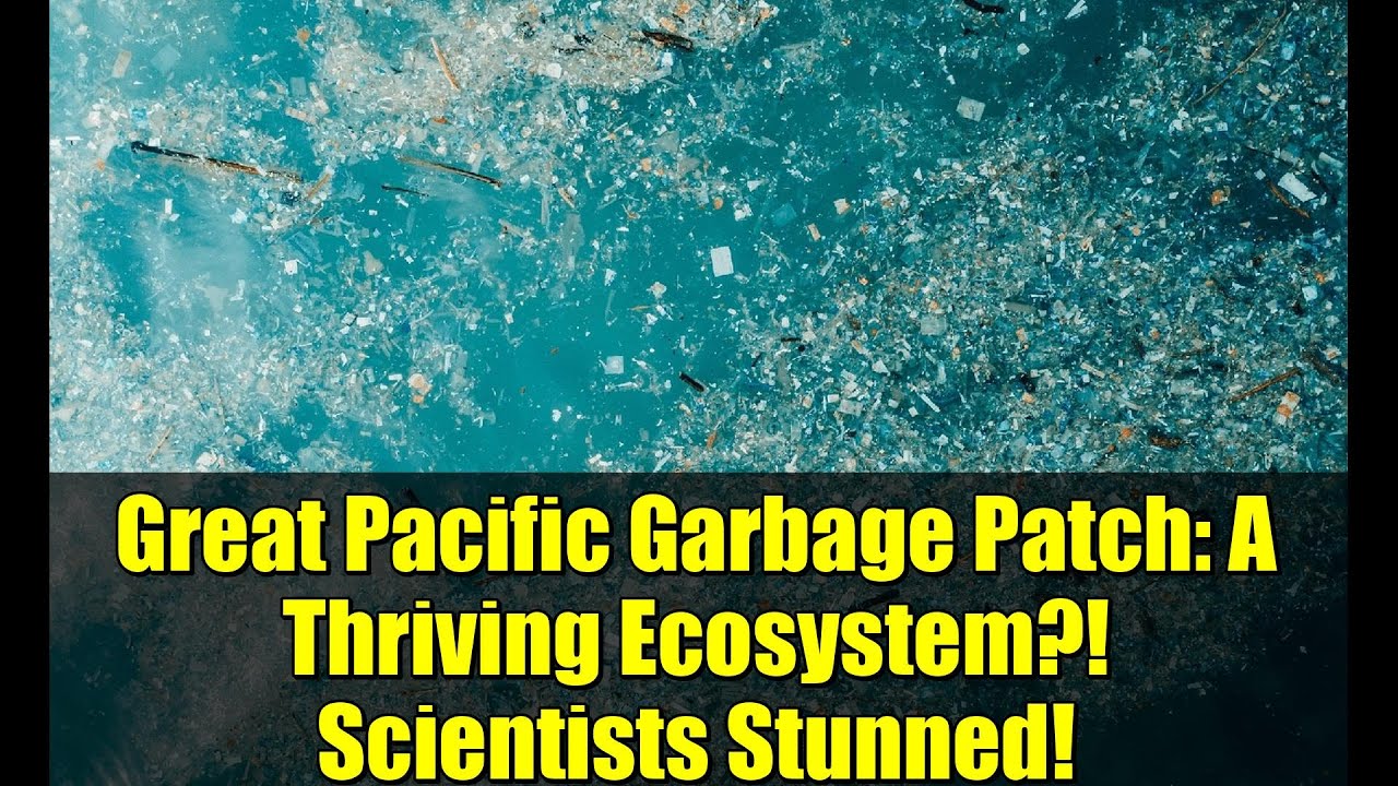 Great Pacific Garbage Patch: A Thriving Ecosystem?! Scientists Stunned!