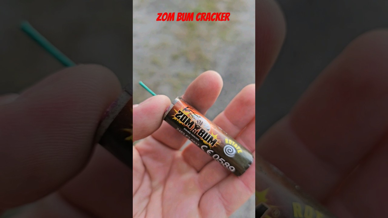 Zom Bum Zombie Cracker