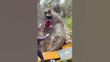 De les bicis, 6b. Salvanebleau