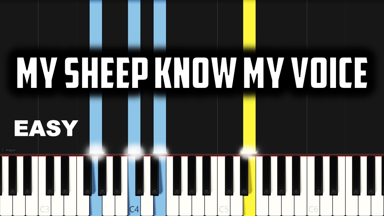 My Sheep Know My Voice Chords by EM