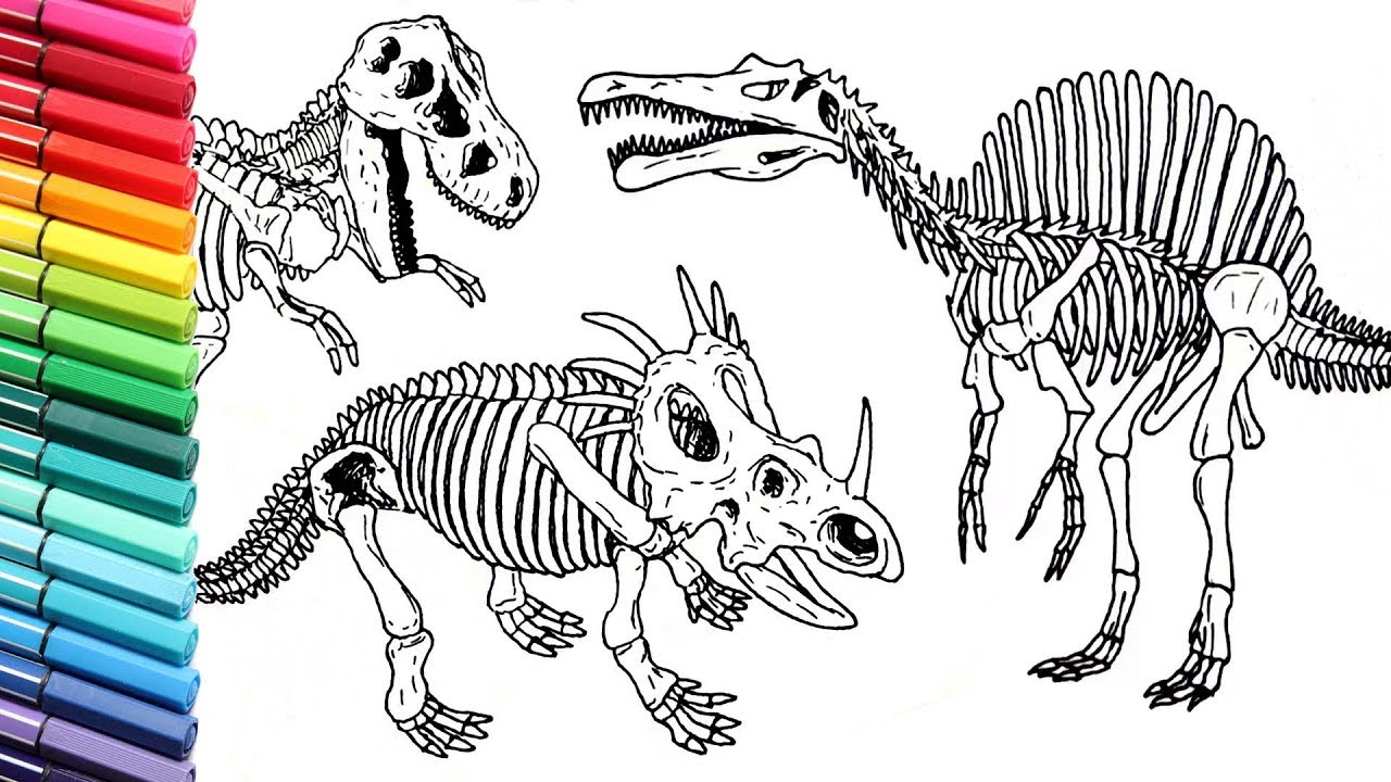 Drawing and Coloring Dinosaurs Skeleton - How to Draw and Color