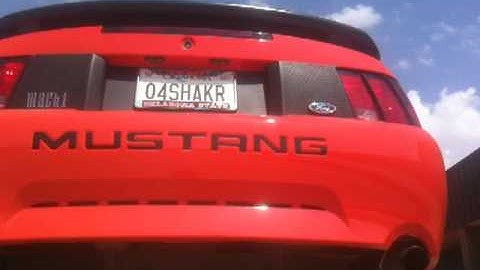 Straight Headers on Samanthas 04 Mach 1