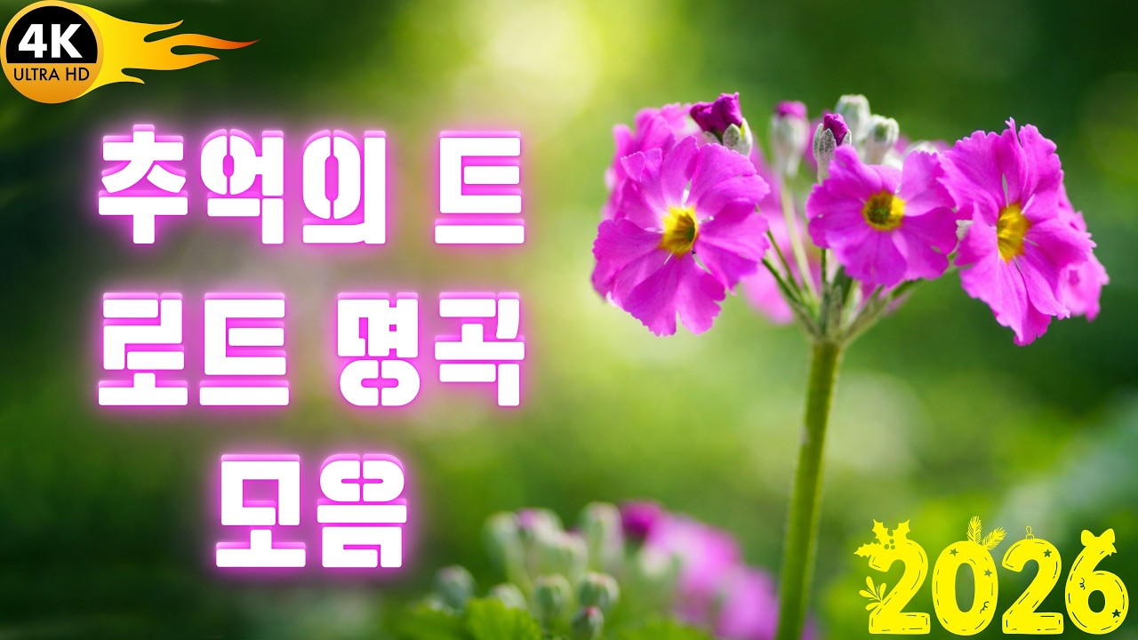 추억의 트로트 명곡 모음 🎶 #KTrot - 질리지 않는 밀리언뷰 트로트 메들리 🎶 마음을 낮추게 만드는 옛 트로트 가요