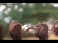 Kinetic Energy lost to deform the objects